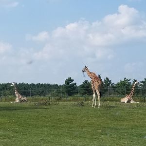 Meet your Posher, Suraj